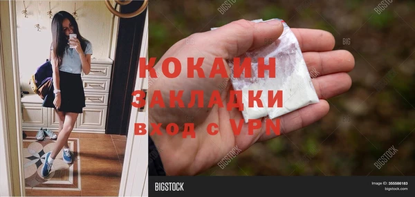 PSILOCYBIN Лабытнанги