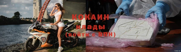 дживик Лагань