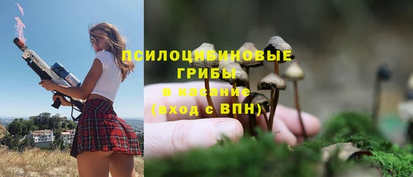 PSILOCYBIN Лабытнанги