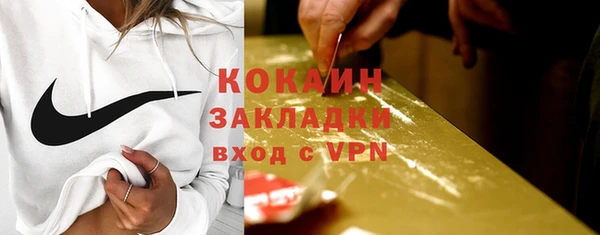 дживик Лагань