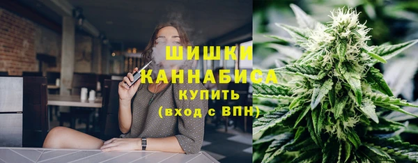 PSILOCYBIN Лабытнанги