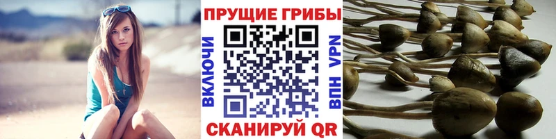 Галлюциногенные грибы прущие грибы  сколько стоит  ссылка на мегу маркетплейс  Майский 